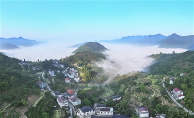 初夏乡村 晨雾缭绕